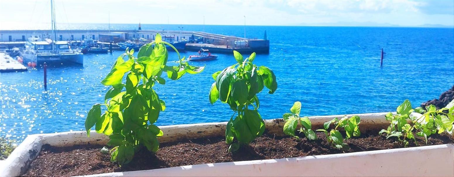 Appartamento Buena Pesca 7 Puerto del Carmen  Esterno foto
